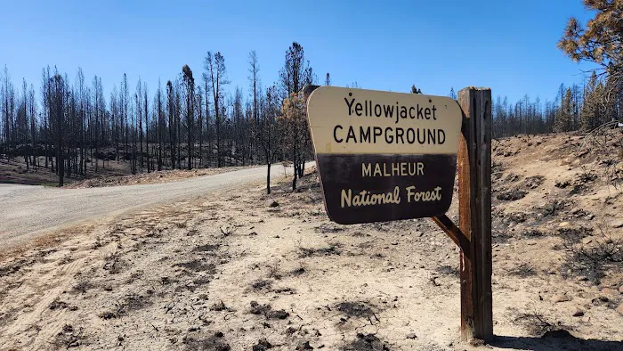 Yellowjacket Campground Picture 6