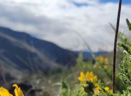 Chukar Park Recreation Site