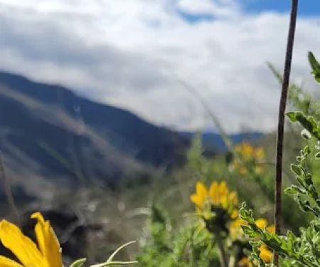 Chukar Park Recreation Site