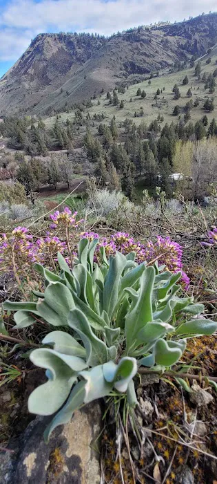 Chukar Park Recreation Site Picture 2