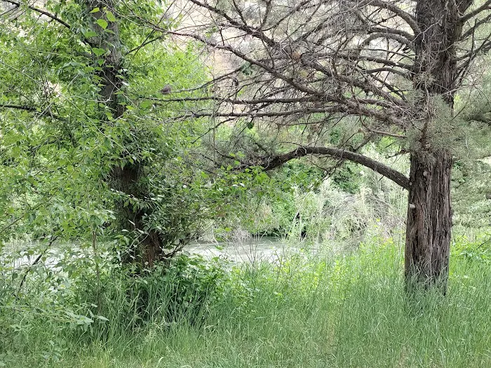 Chukar Park Recreation Site Picture 8
