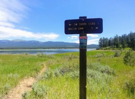 Southwest Shore Campground