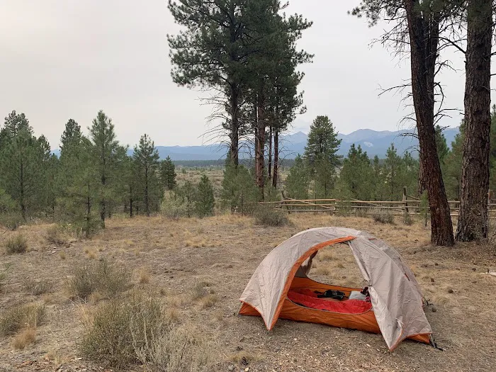 Southwest Shore Campground Picture 9