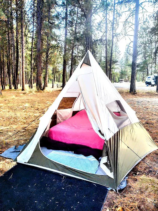 Millers Lane Campground Picture 5