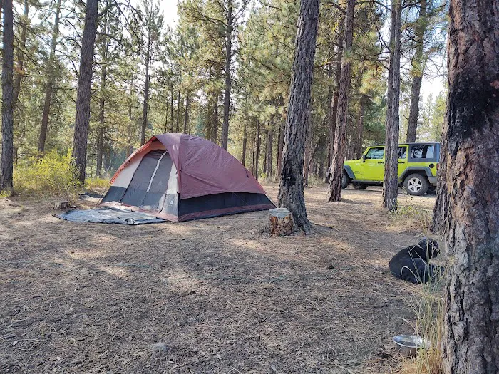 Millers Lane Campground Picture 6
