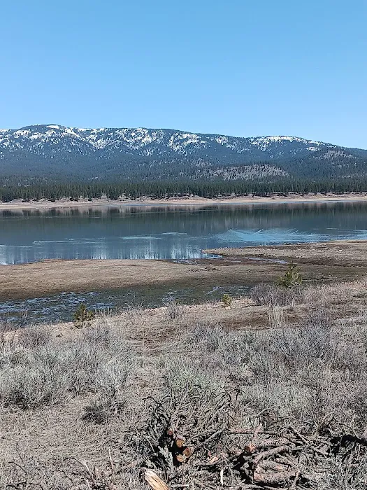 Millers Lane Campground Picture 10