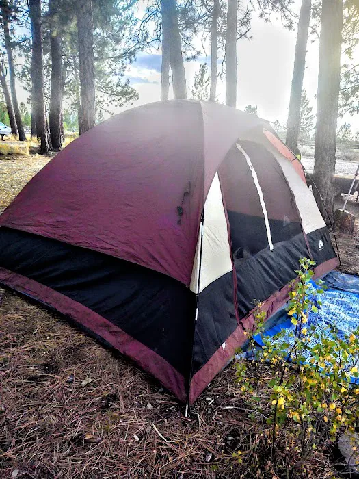 Millers Lane Campground Picture 8