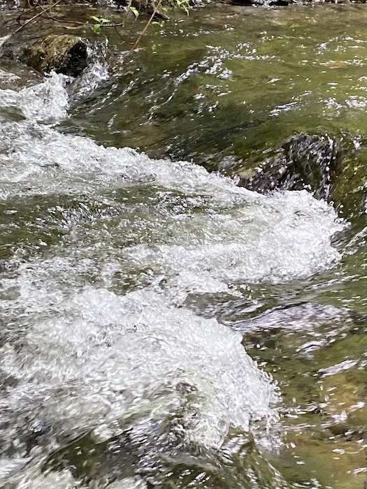 McCully Forks Campground Picture 6