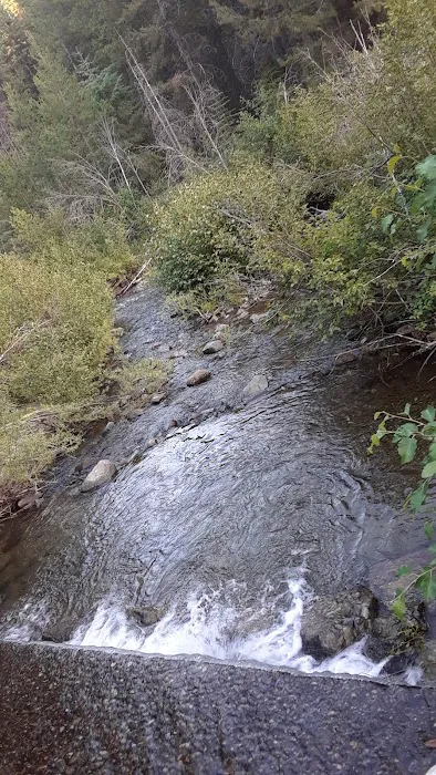 McCully Forks Campground Picture 8