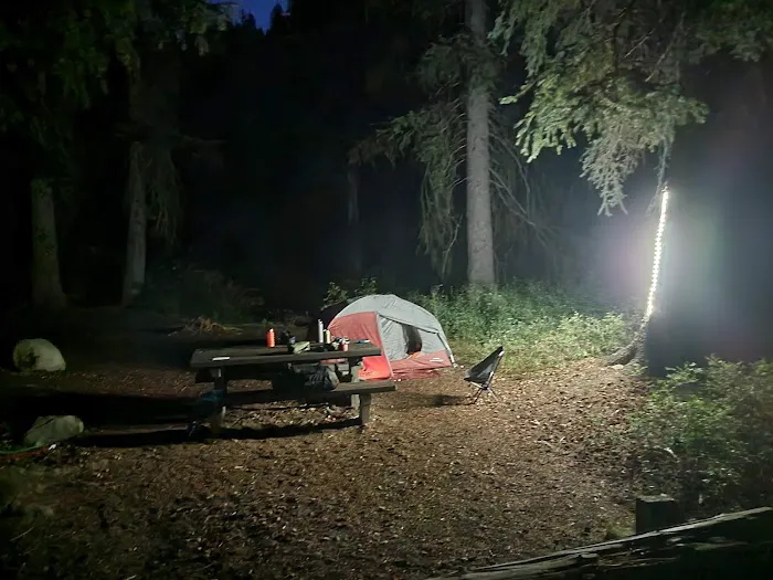 McCully Forks Campground Picture 1