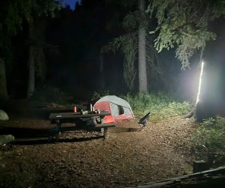 McCully Forks Campground
