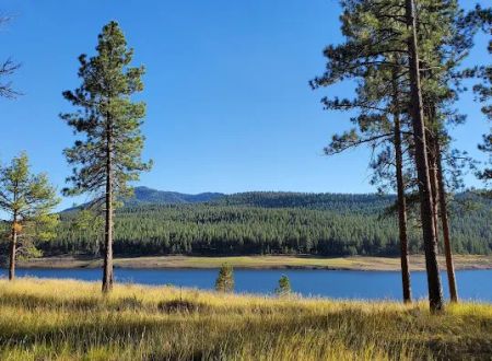 Union Creek Campground