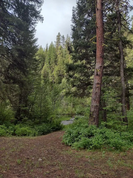 Deer Creek Campground Picture 3