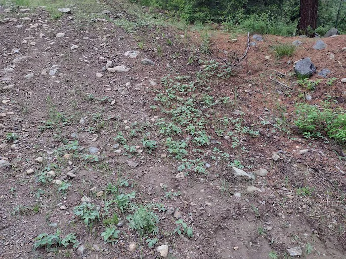 Deer Creek Campground Picture 2
