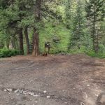 Deer Creek Campground