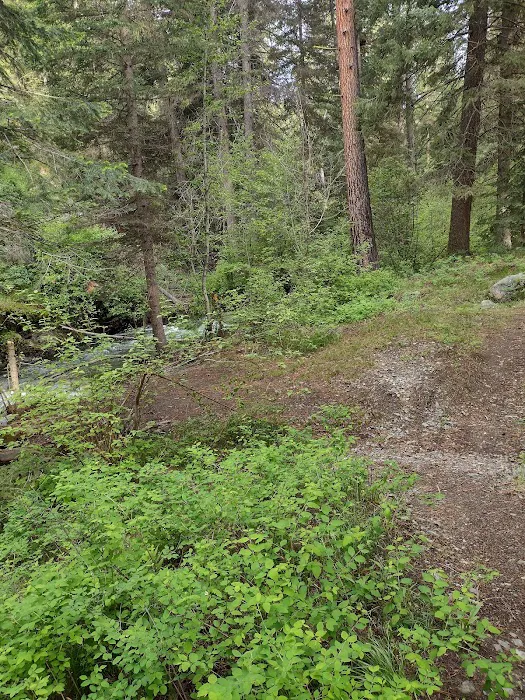 Deer Creek Campground Picture 8