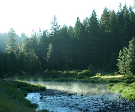 Gold Dredge Campground