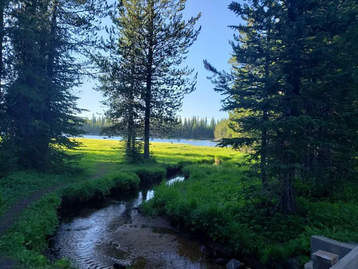 Anthony Lake Campground Picture 2
