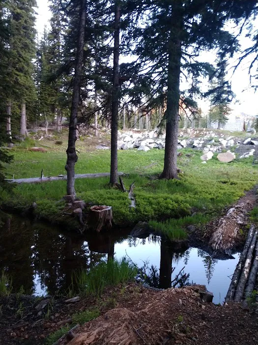 Mud Lake Campground Picture 3