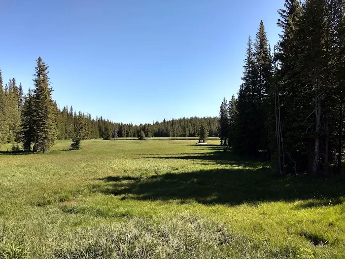 Mud Lake Campground Picture 7