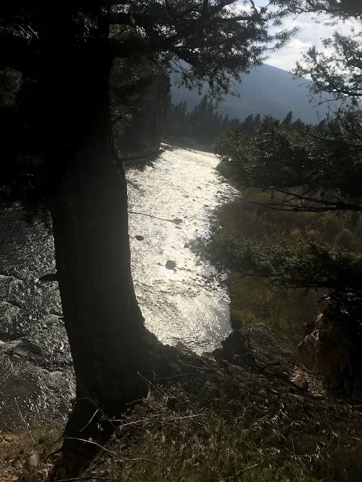 River Junction Campground Picture 3