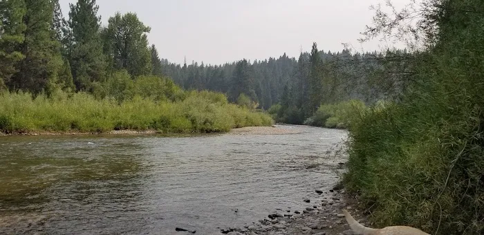 River Junction Campground Picture 4