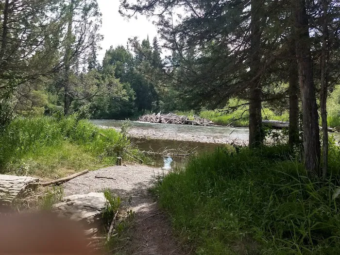 Harry Morgan Campground Picture 5