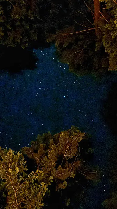 Monture Creek Campground Picture 7