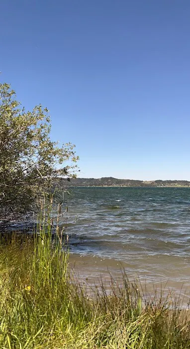 Stuart Mill Bay Campground Picture 8