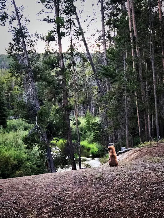 Mussigbrod Campground Picture 4