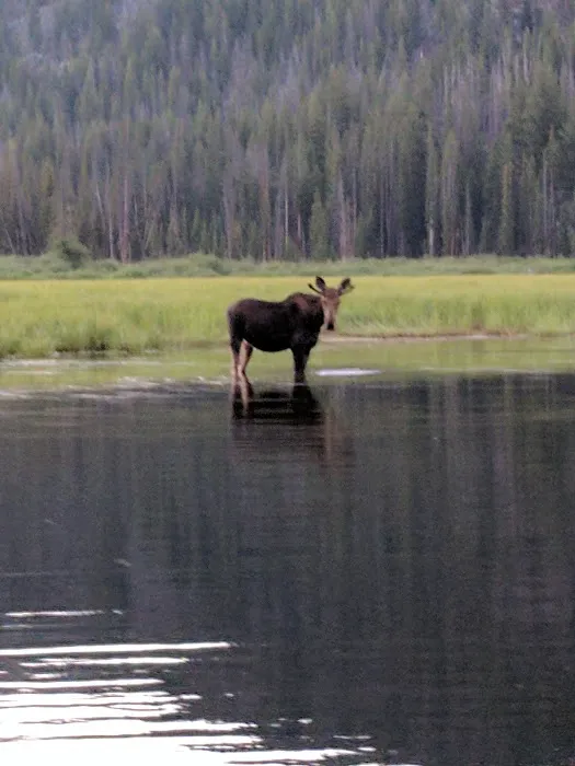 Mussigbrod Campground Picture 1