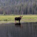 Mussigbrod Campground