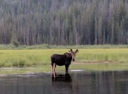 Mussigbrod Campground