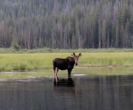 Mussigbrod Campground