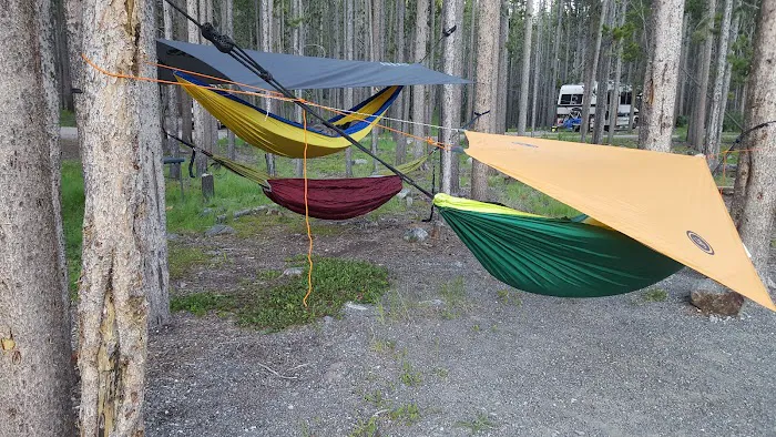 Spring Hill Campground and Picnic Area Picture 10