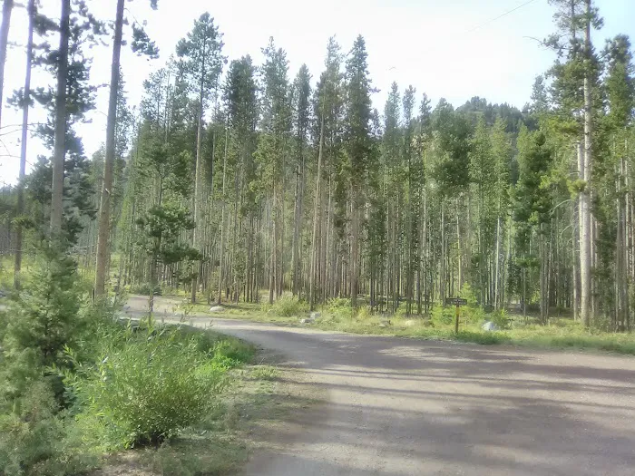 Spring Hill Campground and Picnic Area Picture 8