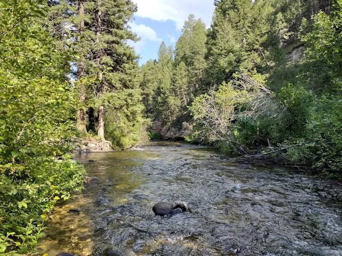 Racetrack campground Picture 5
