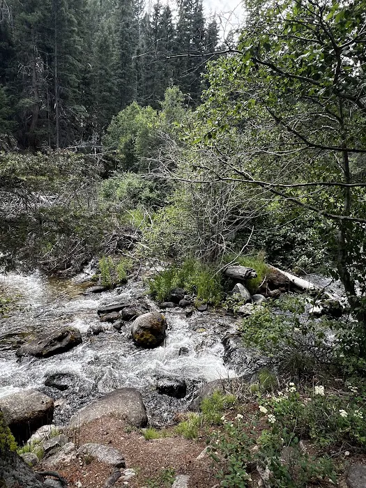 Racetrack campground Picture 3