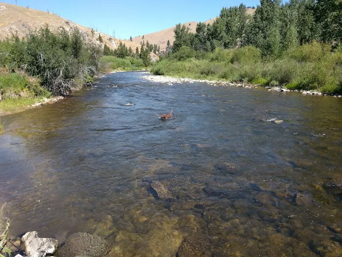 Moosehead Campground Picture 4
