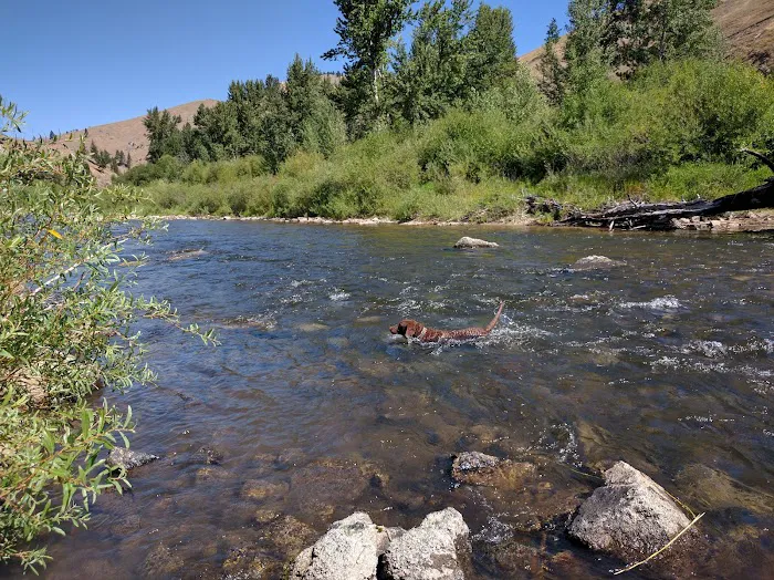 Moosehead Campground Picture 2