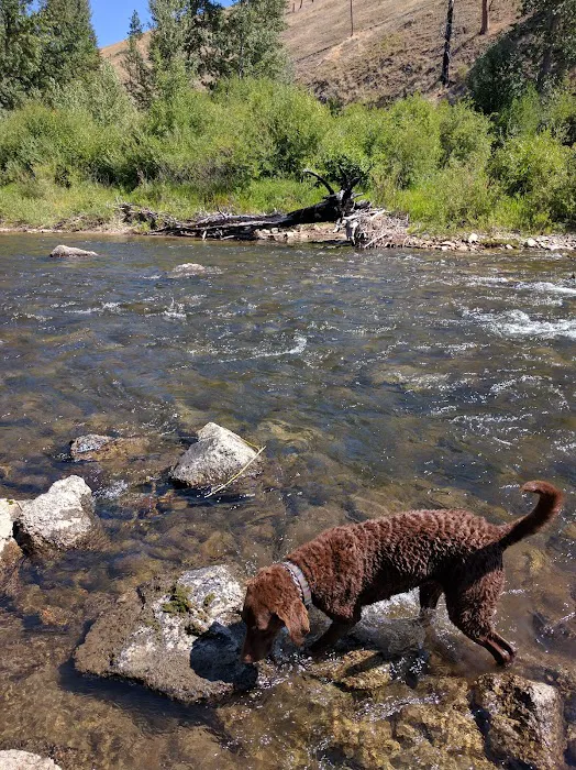 Moosehead Campground Picture 6