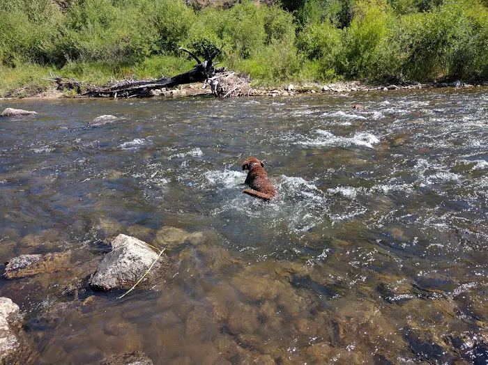 Moosehead Campground Picture 3