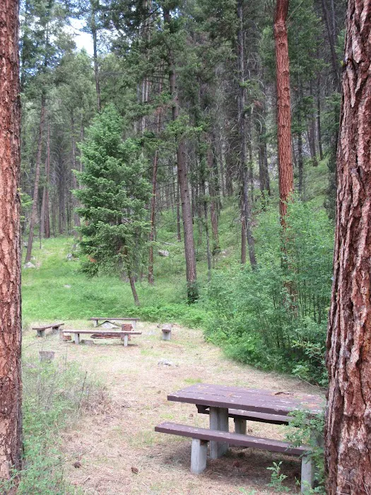 Warm Springs Campground Picture 2