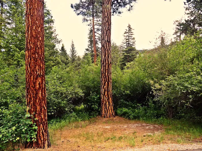 Indian Trees Campground Picture 3