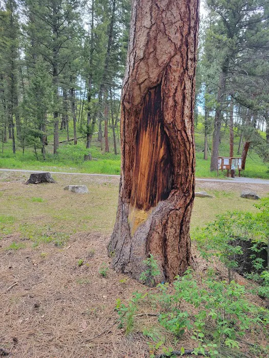 Indian Trees Campground Picture 9