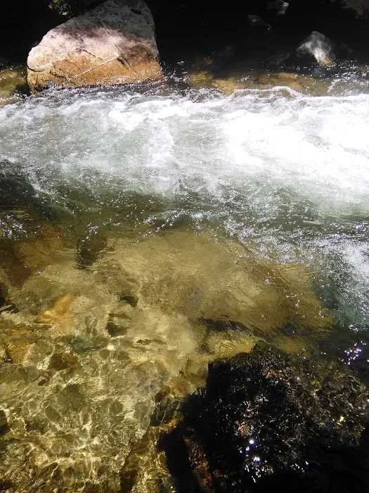 Crazy Creek Campground Picture 7