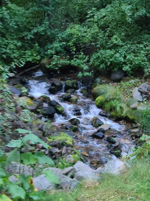 Crazy Creek Campground Picture 5