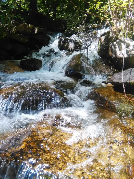 Crazy Creek Campground Picture 3