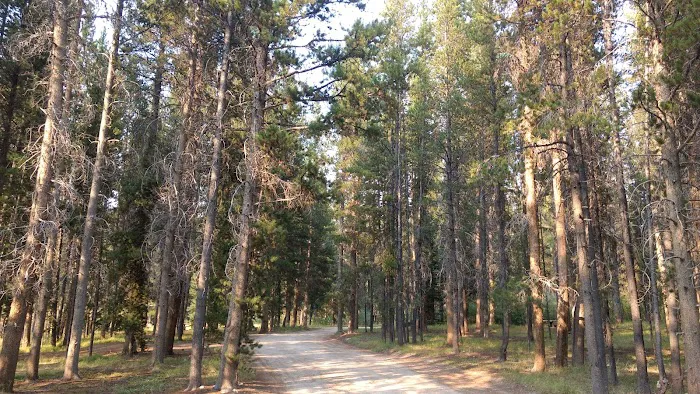 May Creek Campground Picture 2