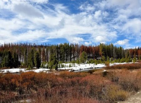 May Creek Campground
